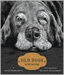 Old Dogs: Are the Best Dogs