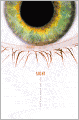 Sight