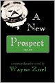 A New Prospect