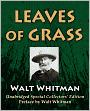 Leaves of Grass