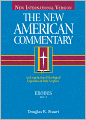 The New American Commentary - Volume 2 - Exodus