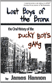 Lost Boys of the Bronx