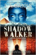 Shadow Walker (Neteru Academy Series #1)