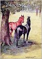 Black Beauty: The Autobiography of a Horse