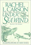 Under the Sea Wind