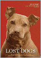 The Lost Dogs: Michael Vick's Dogs and Their Tale of Rescue and Redemption