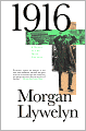 1916: A Novel of the Irish Rebellion