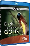 Nature: Birds of the Gods