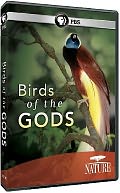 Nature: Birds of the Gods