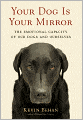 Your Dog Is Your Mirror: The Emotional Capacity of Our Dogs and Ourselves