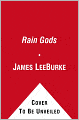 Rain Gods (Hackberry Holland Series #2)