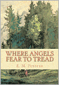 Where Angels Fear to Tread