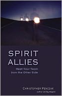 download Spirit Allies : Meet Your Team from the Other Side book