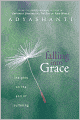 Falling into Grace: Insights on the End of Suffering
