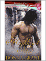 Highland Mist (Druid Glen Series #1)