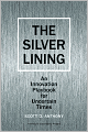 Silver Lining: Your Guide to Innovating in a Downturn
