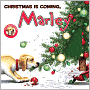 Christmas Is Coming, Marley (Marley Series)
