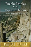Pueblo Peoples on the Pajarito Plateau: Archaeology and Efficiency