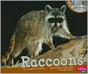 Raccoons
