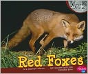 Red Foxes