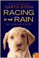 Racing in the Rain: My Life as a Dog