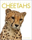 Amazing Animals: Cheetahs