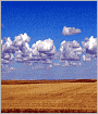 Flatland