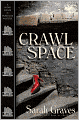 Crawlspace (Home Repair Is Homicide Series #13)