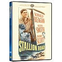 Stallion Road