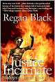 Justice Incarnate, Shadows of Justice book 1