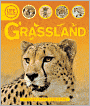 Life Cycles: Grasslands