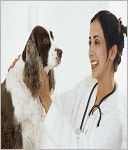 Veterinarian Veterinary Clinic Hospital Start Up Sample Business Plan!