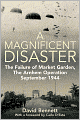 Magnificent Disaster