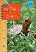 The Turtle in Our Class