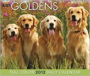 2012 Just Goldens Daily Box Calendar
