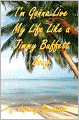 I'm Gonna Live My Life Like a Jimmy Buffett Song