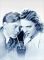The Mickey Rooney & Judy Garland Collection