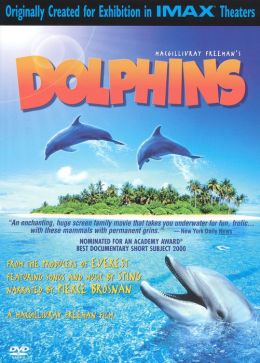 Dolphins