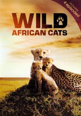 Wild African Cats