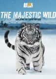 Video/DVD. Title: Majestic Wild