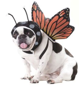 Butterfly Pet Costume: Medium