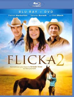 Flicka 2