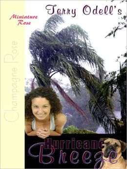 Hurricane Breeze