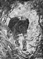 Cover Image: The Jungle Book, Illustrated