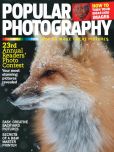 Book Cover Image. Title: American Photo, Author: Bonnier