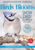 Book Cover Image. Title: Birds & Blooms, Author: Reader's Digest Association, Inc.