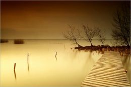 Dark Impressions