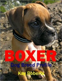Boxer Dog Breed Profile