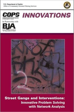 Street Gangs and Interventions: Innovative Problem Solving with Network Analysis
