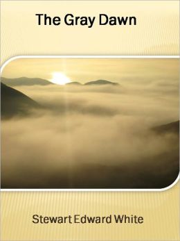 The Gray Dawn w/ Direct link technology (A Western Adventure Story)